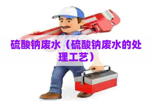 硫酸钠废水（硫酸钠废水的处理工艺）