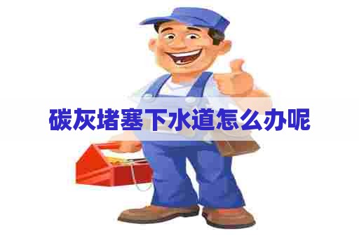 碳灰堵塞下水道怎么办呢