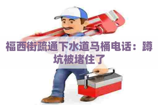 福西街疏通下水道马桶电话：蹲坑被堵住了