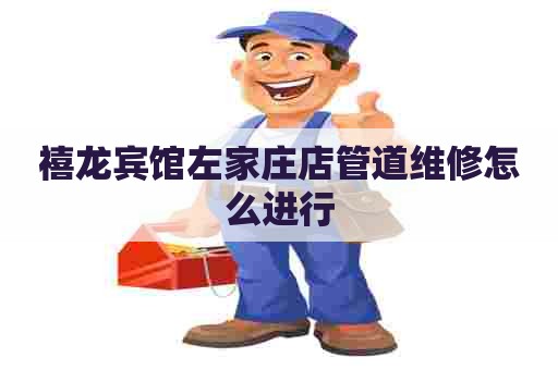 禧龙宾馆左家庄店管道维修怎么进行