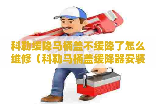 科勒缓降马桶盖不缓降了怎么维修（科勒马桶盖缓降器安装图解）