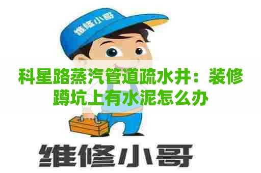 科星路蒸汽管道疏水井:装修蹲坑上有水泥怎么办 科星路蒸汽管道疏水井:装修蹲坑上有水泥怎么办