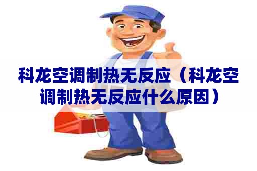 科龙空调制热无反应（科龙空调制热无反应什么原因）
