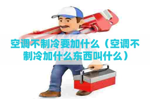空调不制冷要加什么（空调不制冷加什么东西叫什么）