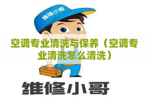 空调专业清洗与保养（空调专业清洗怎么清洗）