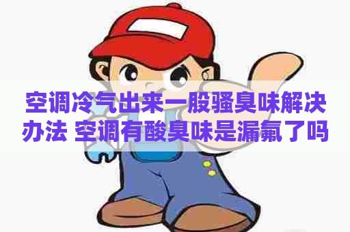 空调冷气出来一股骚臭味解决办法 空调有酸臭味是漏氟了吗