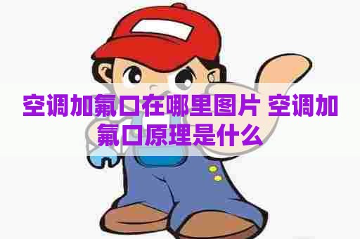 空调加氟口在哪里图片 空调加氟口原理是什么