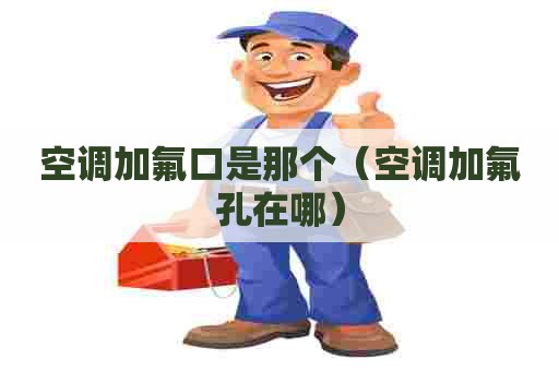 空调加氟口是那个（空调加氟孔在哪）