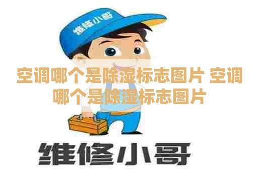 空调哪个是除湿标志图片 空调哪个是除湿标志图片