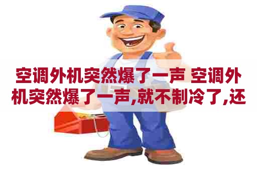 空调外机突然爆了一声 空调外机突然爆了一声,就不制冷了,还又热风怎回是