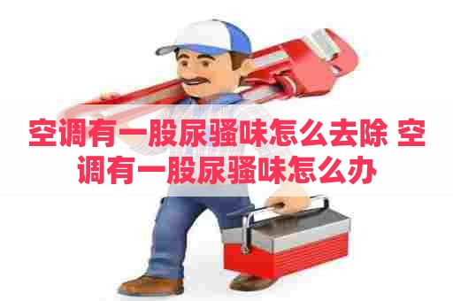 空调有一股尿骚味怎么去除 空调有一股尿骚味怎么办
