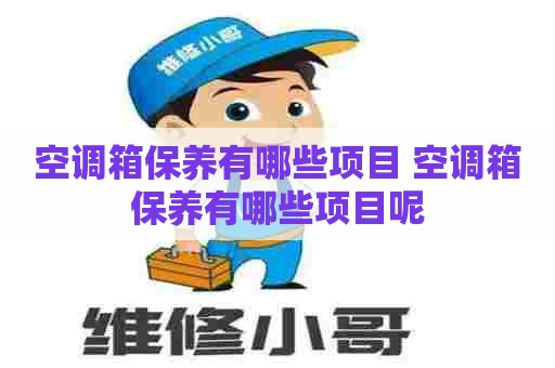 空调箱保养有哪些项目 空调箱保养有哪些项目呢