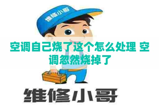空调自己烧了这个怎么处理 空调忽然烧掉了