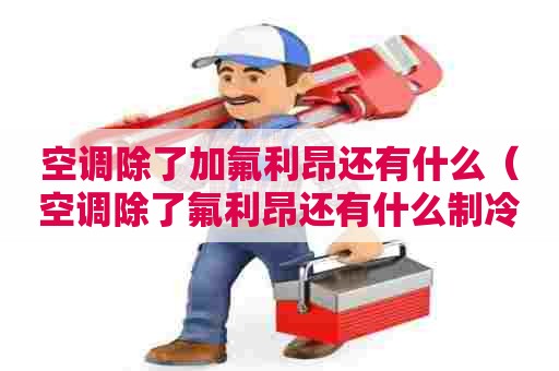 空调除了加氟利昂还有什么（空调除了氟利昂还有什么制冷剂）