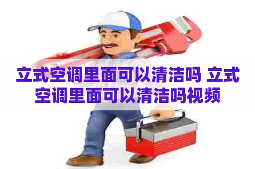 立式空调里面可以清洁吗 立式空调里面可以清洁吗视频