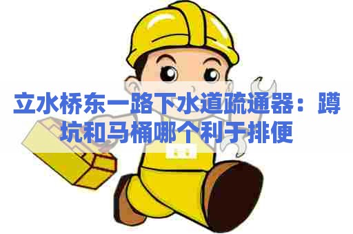 立水桥东一路下水道疏通器：蹲坑和马桶哪个利于排便