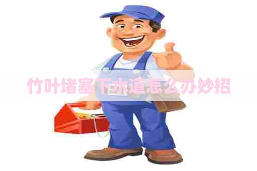 竹叶堵塞下水道怎么办妙招