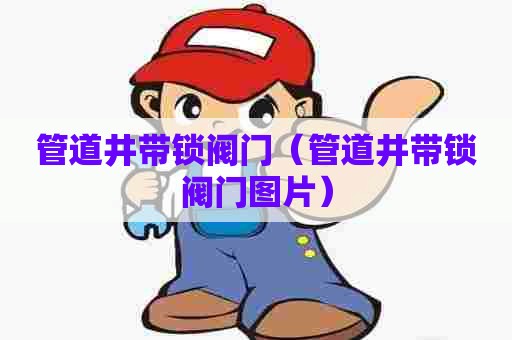 管道井带锁阀门（管道井带锁阀门图片）