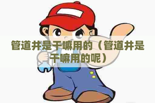 管道井是干嘛用的（管道井是干嘛用的呢）