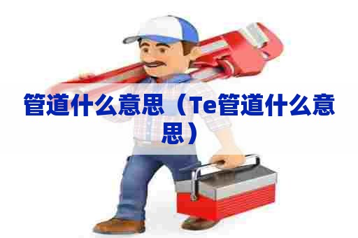 管道什么意思（Te管道什么意思）