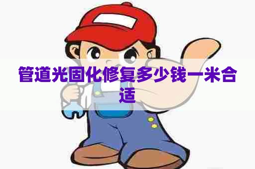 管道光固化修复多少钱一米合适