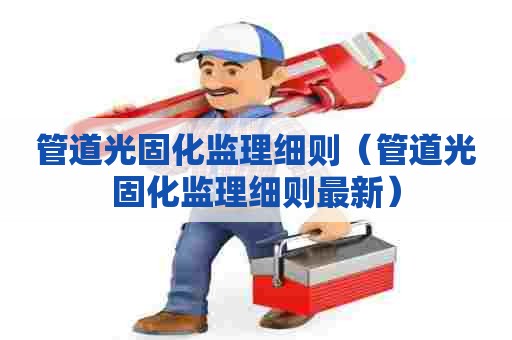 管道光固化监理细则（管道光固化监理细则最新）