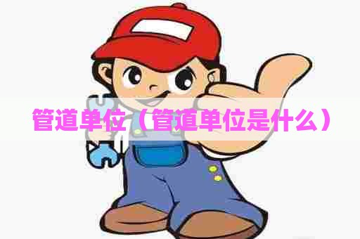 管道单位（管道单位是什么）