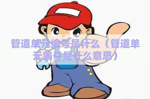 管道单元编号是什么（管道单元编号是什么意思）