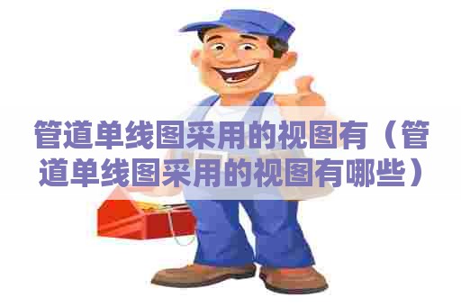 管道单线图采用的视图有（管道单线图采用的视图有哪些）