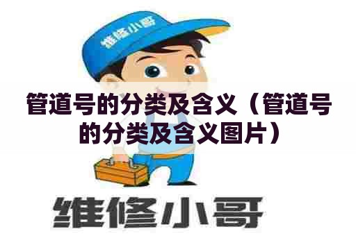 管道号的分类及含义（管道号的分类及含义图片）