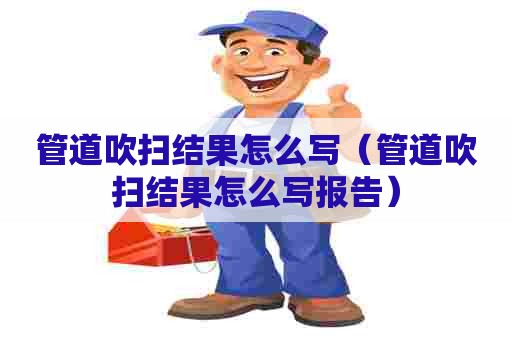 管道吹扫结果怎么写（管道吹扫结果怎么写报告）