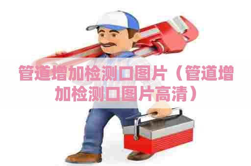 管道增加检测口图片（管道增加检测口图片高清）