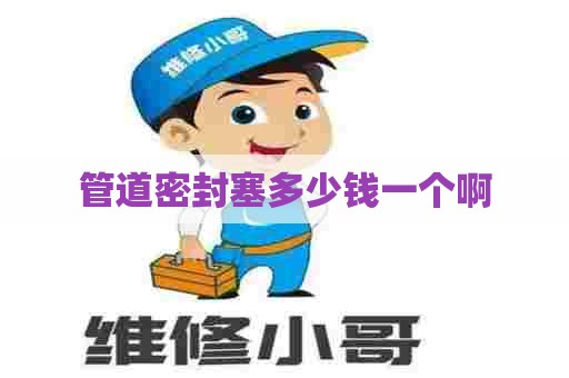 管道密封塞多少钱一个啊