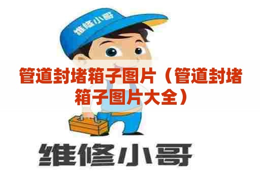 管道封堵箱子图片（管道封堵箱子图片大全）