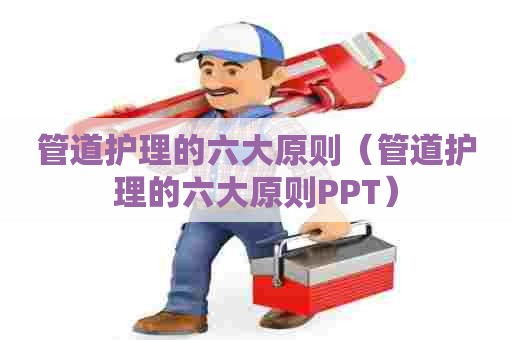 管道护理的六大原则（管道护理的六大原则PPT）