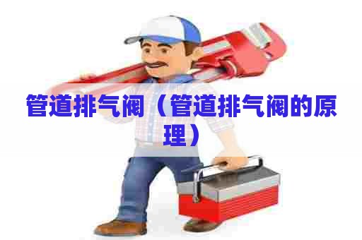 管道排气阀（管道排气阀的原理）