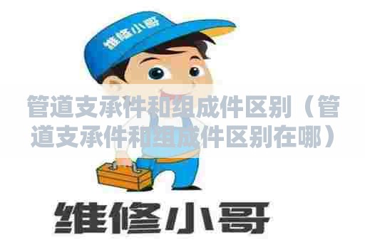 管道支承件和组成件区别（管道支承件和组成件区别在哪）
