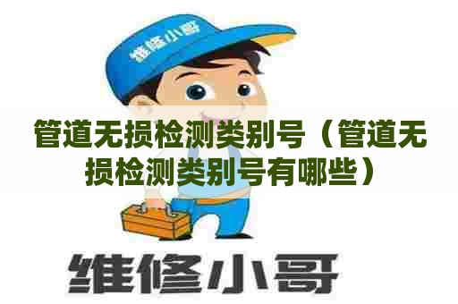 管道无损检测类别号（管道无损检测类别号有哪些）