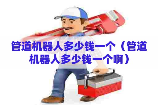 管道机器人多少钱一个（管道机器人多少钱一个啊）