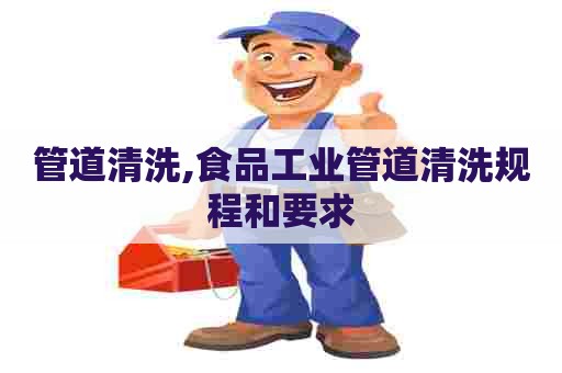 管道清洗,食品工业管道清洗规程和要求 管道清洗,食品工业管道清洗规程和要求
