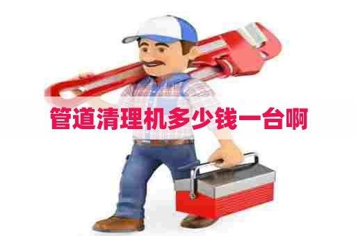 管道清理机多少钱一台啊