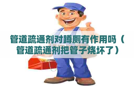管道疏通剂对蹲厕有作用吗（管道疏通剂把管子烧坏了）