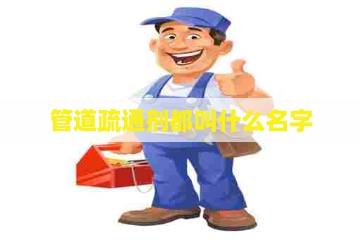 管道疏通剂都叫什么名字