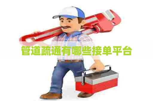 管道疏通有哪些接单平台 管道疏通有哪些接单平台