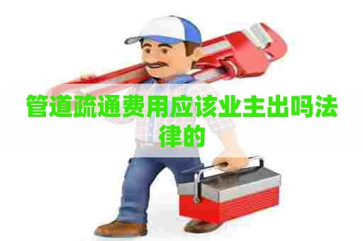 管道疏通费用应该业主出吗法律的 管道疏通费用应该业主出吗法律的