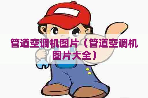 管道空调机图片（管道空调机图片大全）