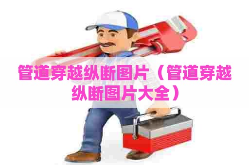 管道穿越纵断图片（管道穿越纵断图片大全）