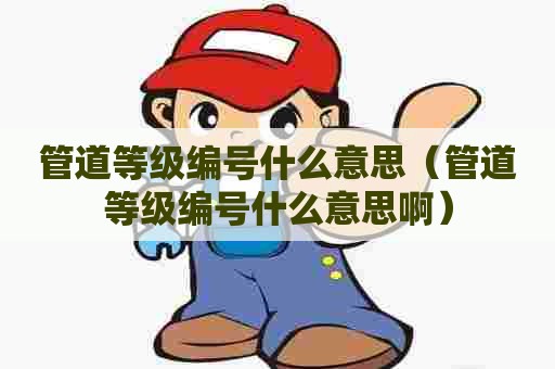 管道等级编号什么意思(管道等级编号什么意思啊) 管道等级编号什么意思(管道等级编号什么意思啊)