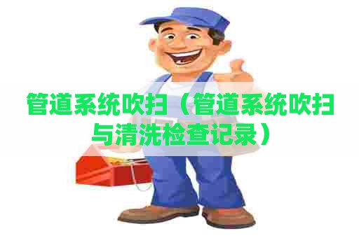 管道系统吹扫（管道系统吹扫与清洗检查记录）