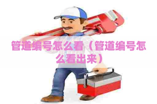 管道编号怎么看(管道编号怎么看出来) 管道编号怎么看(管道编号怎么看出来)